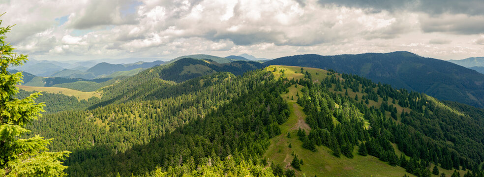 Lush rolling hills covered by dense evergreen forests beneath dramatic cloudscape in Velka Fatra mountain range
