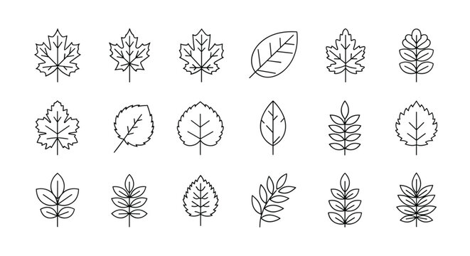 Grid of eighteen different leaf outline icons showcases a variety of foliage shapes in a consistent minimalist style.