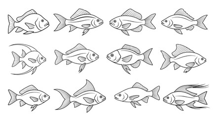 Naklejka premium Set of twelve distinct fish species illustrated in a consistent vintage line art style with detailed scales and fin structures.