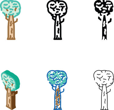 kauri jungle amazon color icon vector. kauri set jungle amazon sign. isolated symbol illustration