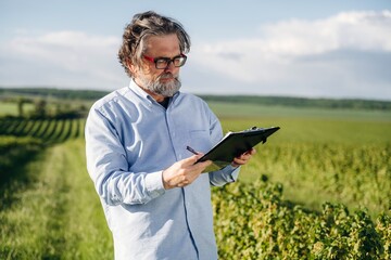 Fototapeta premium Mature man with glasses holding a clipboard stands in a vineyard, examining grapevines under a clear sky with rolling hills in the background