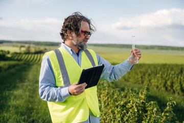 Fototapeta premium Male agricultural technician in reflective vest analyzes liquid sample with beaker while using tablet in vineyard field under clear blue sky