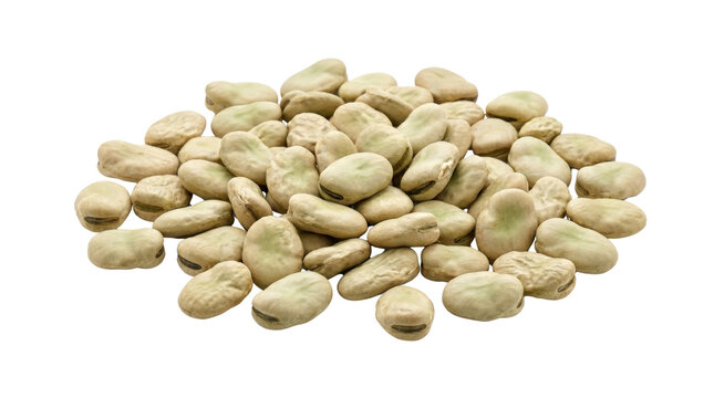Pile of dried fava beans on a white background.