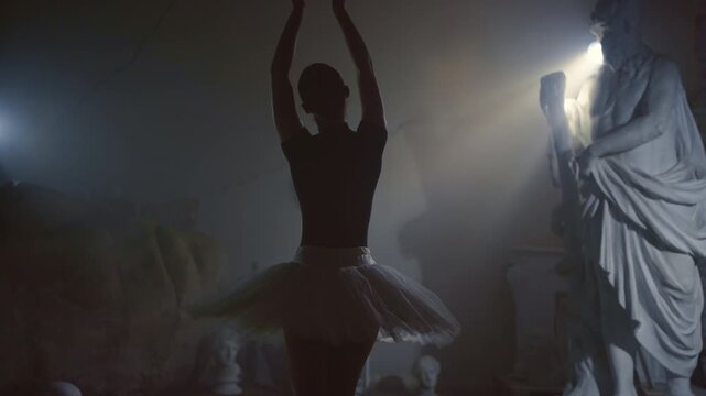 amazing shot with beautiful ballerina dancing on stage, back view, medium shot. slow motion, alluring professional female ballet dancer moving gracefully, tenderly, talented student of school of arts