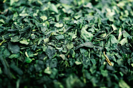 Macro texture of dried green tea