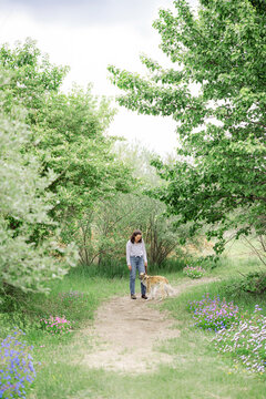 Woman and her dog on a peaceful woodland walk