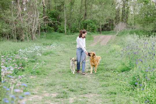 Smiling woman walking two dogs on a nature trail
