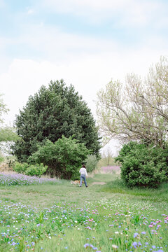 Woman walking dog through a field of wildflowers