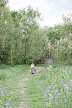 Woman walking two dogs on a path with wildflowers