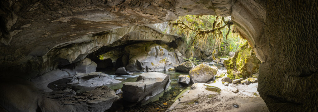 MossCovered River Cave With Smooth Rock Formations and Sunlit F