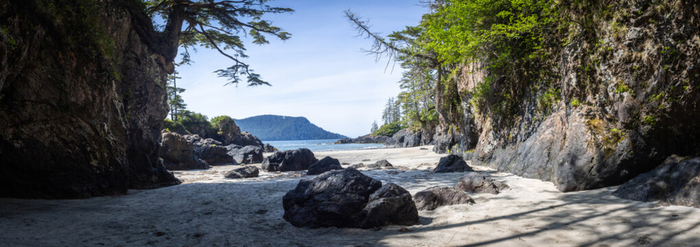 Secluded Rocky Beach Cove with Evergreen Trees and Distant Islan