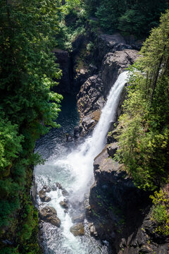 Waterfall Plunging Into Rocky Gorge Surrounded by Evergreen Fore