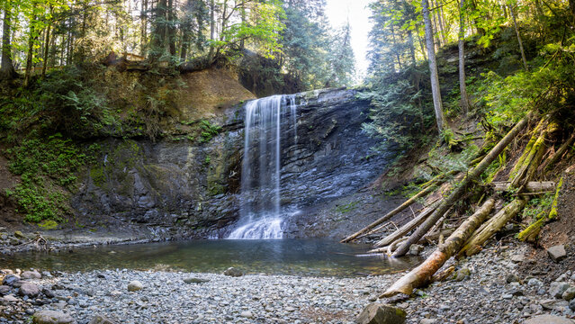 Quiet Forest Waterfall Cascading Into Rocky Pool Surrounded by M