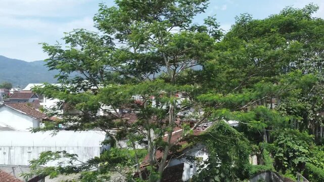 Indonesian Rural Town with Scenic Volcanic Mountain Backdrop