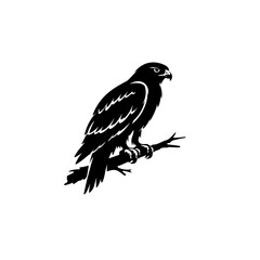 Fototapeta premium Majestic Black Hawk Perched on Branch in Natural Silhouette Style Illustration