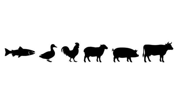 Farm Animal Silhouette Icon Set Featuring Fish Duck Rooster Sheep Pig and Cow Butchery Guide Template in Black Solid Style