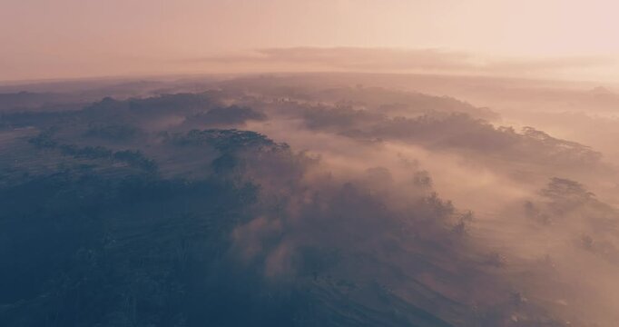 Flying above rice terraces and jungles in Laos on sunrise at daytime on sunlight. Wide angle lens shot. Panoramic camera movement