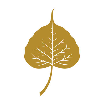 Bodhi leaf, Bo leaf, Gold leaf vector, Minimalist leaf illustration