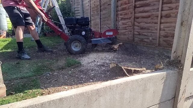 Slow motion gardener using industrial machinery to grind tree stump with sawdust particles flying