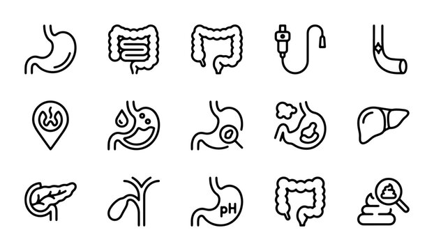 Digestive System Icons Set: Stomach, Intestines, Liver, Pancreas, Gallbladder, Medical Health