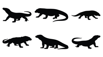 Obraz premium Collection of various komodo dragon silhouettes