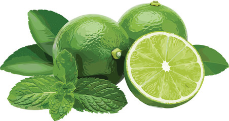Fresh lime fruit illustration with mint leaves and sliced lime isolated on white background for healthy food © Prodip