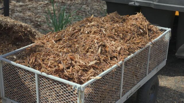 A pull cart for yardwork and landscaping brimming with mulch.