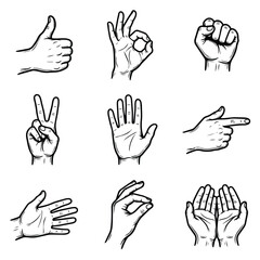 Fototapeta premium Collection of Nine Different Hand Gestures and Poses.