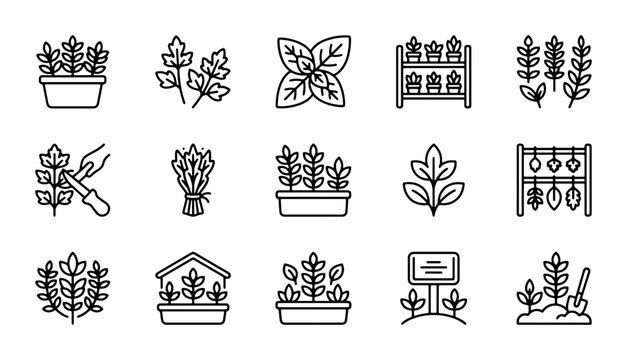 Herb Garden Icons, Fresh Produce Vector Set, Organic Farming Line Art Collection