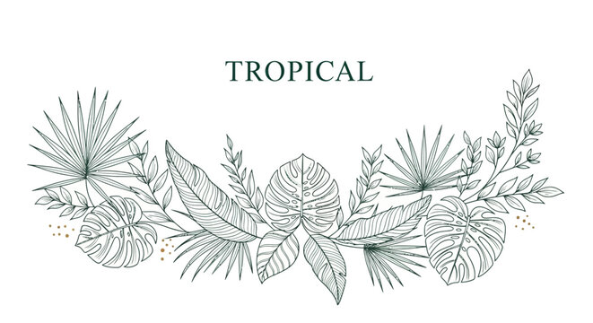 Tropical Leafy Green Foliage Illustration.