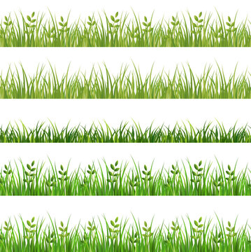 green grass and leaves, vegetable border for decoration