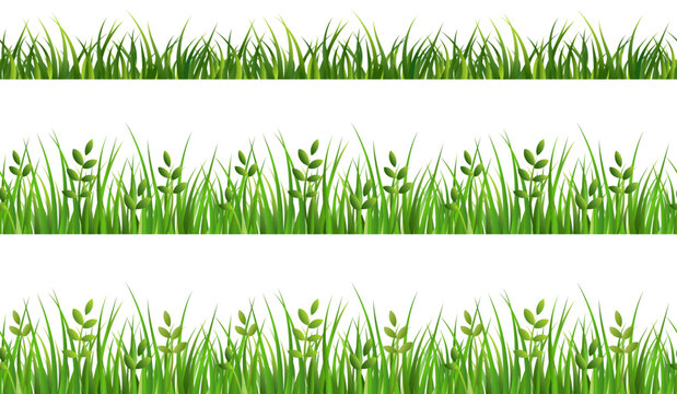 green grass and leaves, vegetable border for decoration