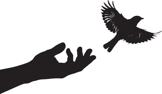 Silhouette of a hand releasing a bird into flight with silhouette