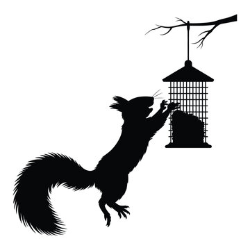 Squirrel Trying to Reach Hanging Bird Feeder Vector, Silhouette, Illustration