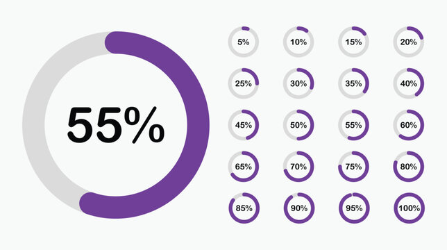 Progress indicators showing percentage completion with a purple and gray color scheme