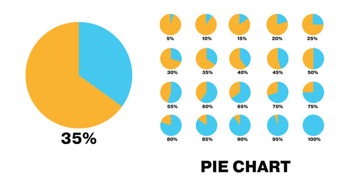 Collection of pie charts showing percentage breakdowns with varying proportions and a white background