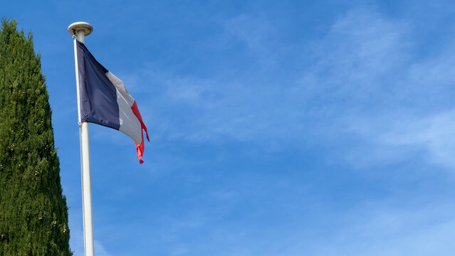 French National Flag Waving on Flagpole Beside Cypress Tree in Marseille