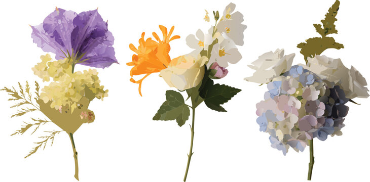 Assorted wildflower illustration featuring petunias snapdragons hydrangeas and other blooms in a vector style flowers botanical bloom blossom floral arrangement