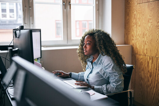 Focused curly haired female tech expert working on dual computer in startup company
