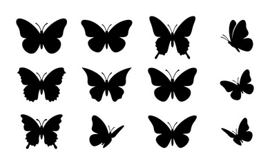 Butterfly Silhouettes Vector Set, Insect Icons, Nature Graphics, Winged Creatures © Tanzila