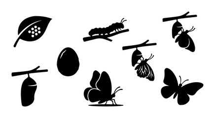Butterfly Life Cycle Vector Icons, Metamorphosis Stages, Insect Transformation © Tanzila