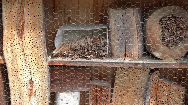 Close-up of a wooden insect hotel filled with drilled logs, bamboo stems, bricks, and nesting materials designed to support pollinators and beneficial insects