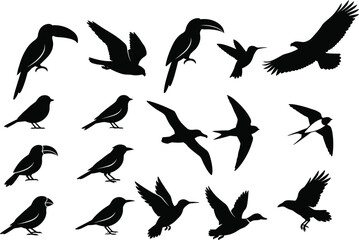 Fototapeta premium Black Tropical and Wild Bird Species Silhouettes Collection Set in Flying and Standing Poses