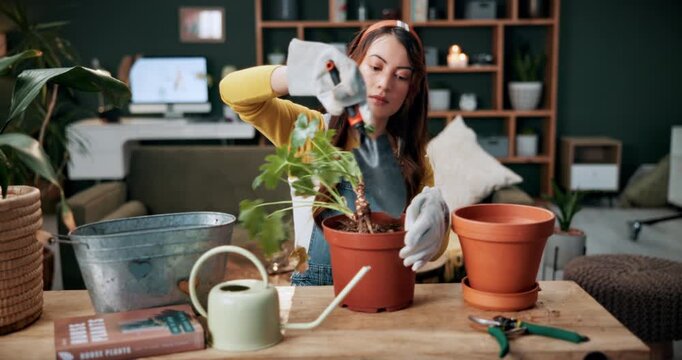 Spade, plant and woman at house for gardening, fertilizer and maintenance for agriculture. Gardener, soil and female person in lounge with houseplant, botanical and tools with compost for leaf growth