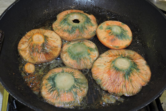 Frying saffron milk cap mushrooms in a pan with butter
