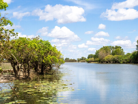 Mary River Wetlands, Northern Territory, Australia