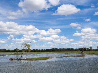 Yellow Waters Wetland, Kakadu National Park, Australia © Bruce