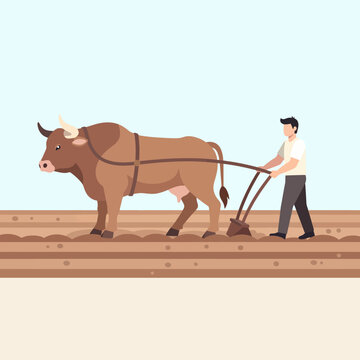 A farmer plowing a field with an ox in a rural agricultural setting