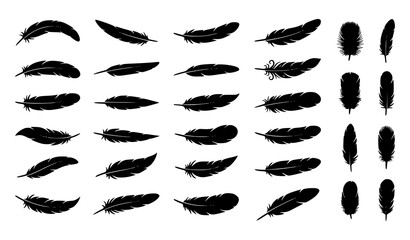 Collection of different bird feather silhouettes set isolated on white © Ziten