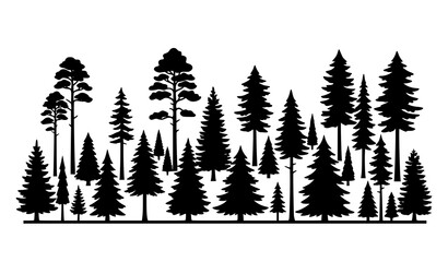 Silhouette of a dense coniferous forest with pine and fir trees vector © Ziten